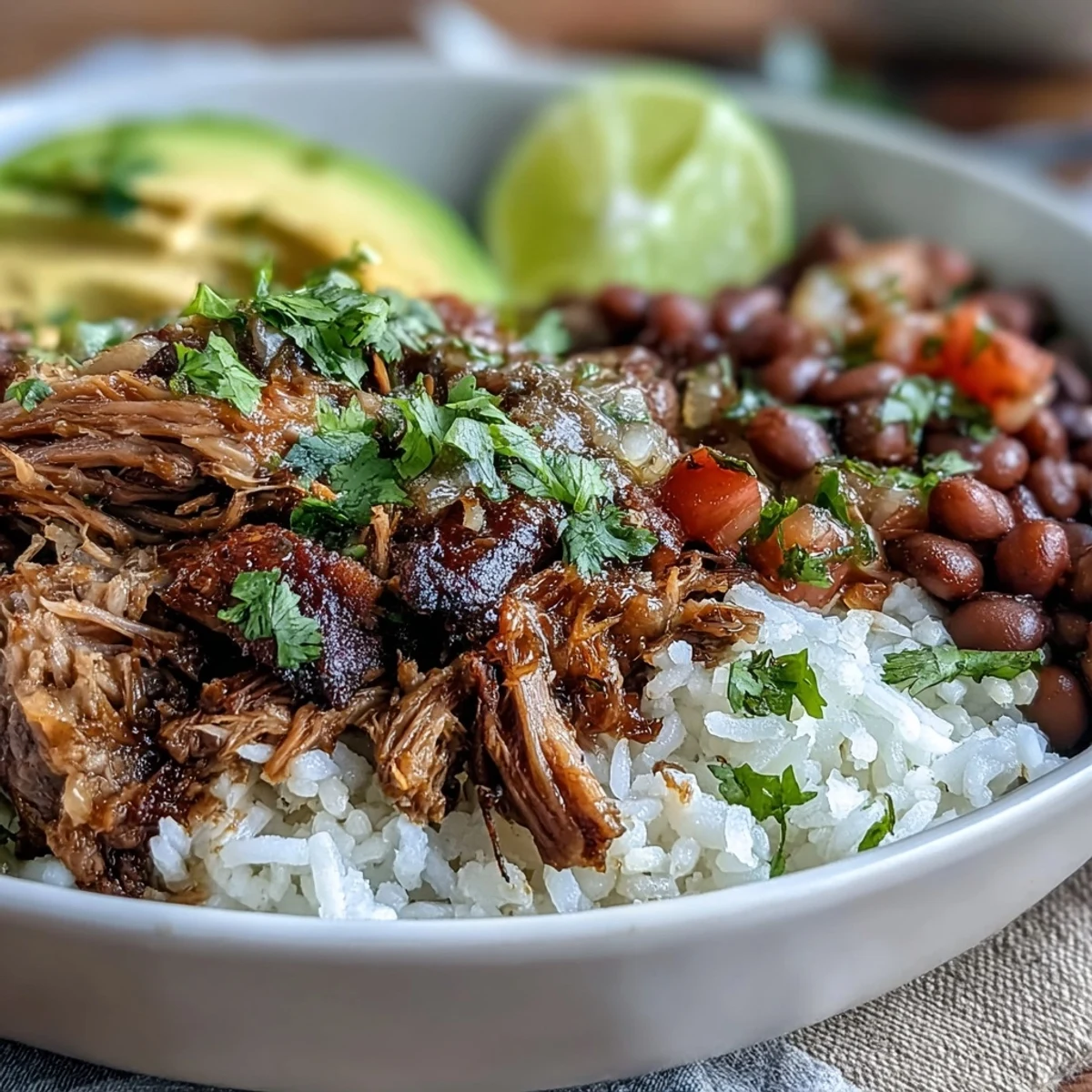 Warm, crispy slow-cooked carnitas piled high on fluffy rice with beans and fresh salsa.